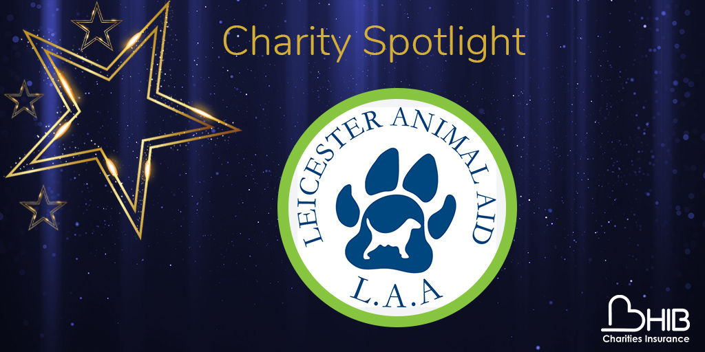 Leicester Animal Aid- Charity Spotlight